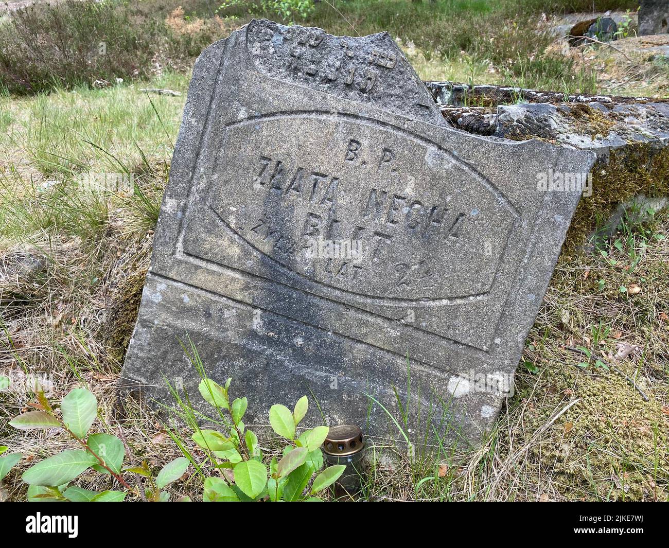 Ruinen des alten jüdischen Friedhofs in Otwock Polen cmentarz żydowski w Otwock Grabsteine jüdischer Friedhof jüdischer Friedhof beit kvarot jüdischer Grabstein Stockfoto