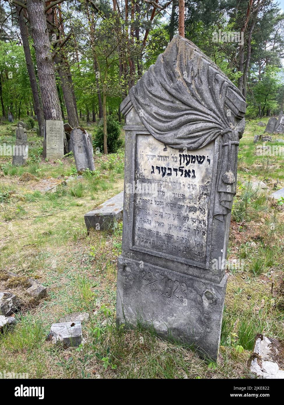 Ruinen des alten jüdischen Friedhofs in Otwock Polen cmentarz żydowski w Otwock Grabsteine jüdischer Friedhof jüdischer Friedhof beit kvarot jüdischer Grabstein Stockfoto