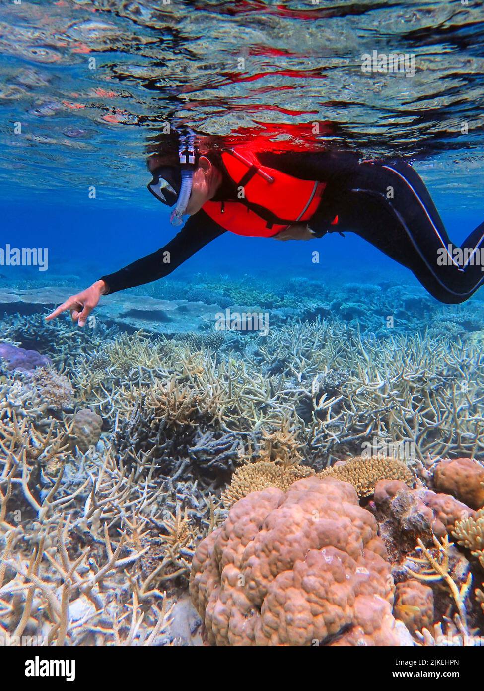 Indonesia Anambas Islands - Frauen schnorcheln im Korallenriff Stockfoto