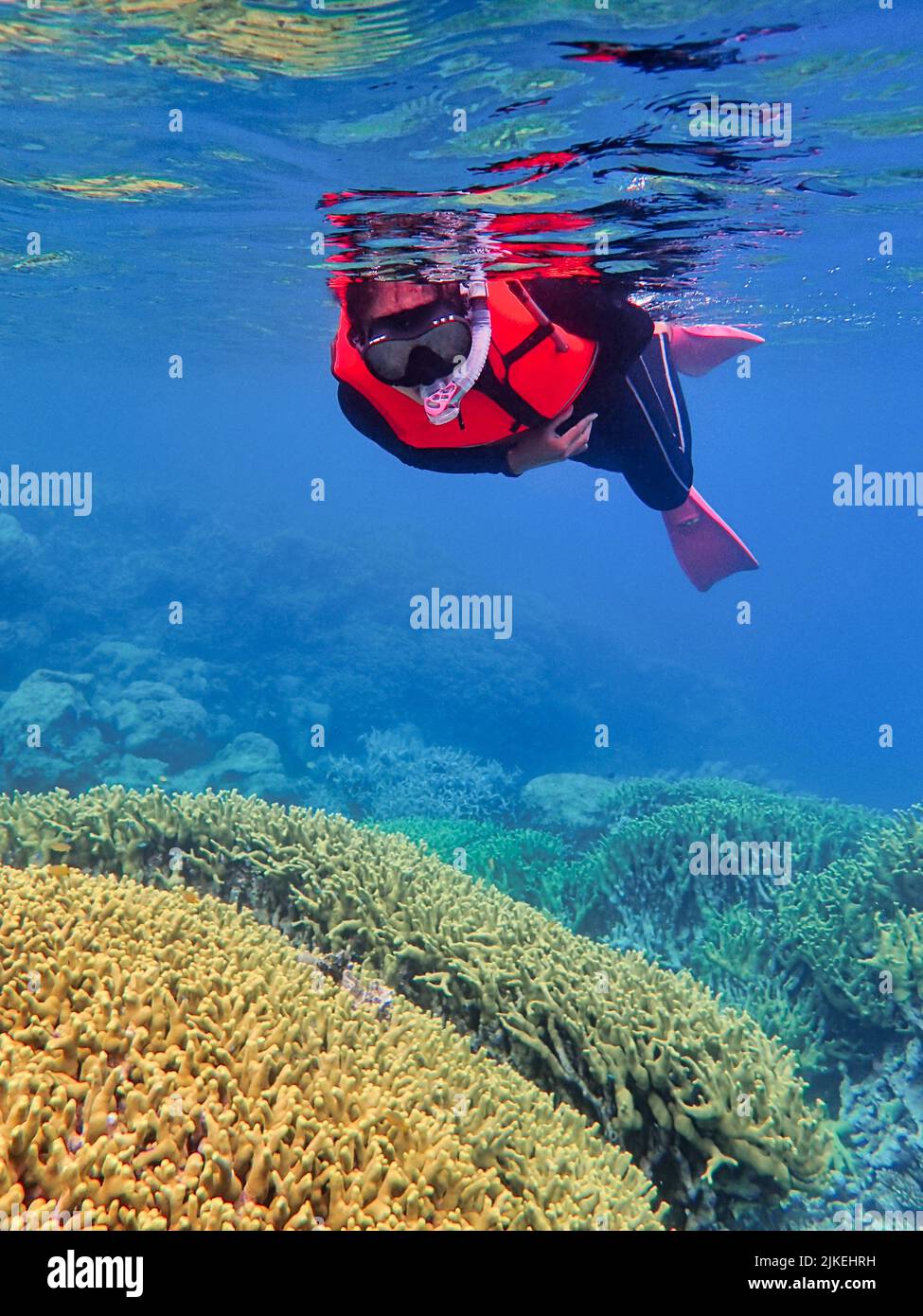 Indonesia Anambas Islands - Frauen schnorcheln im Korallenriff Stockfoto