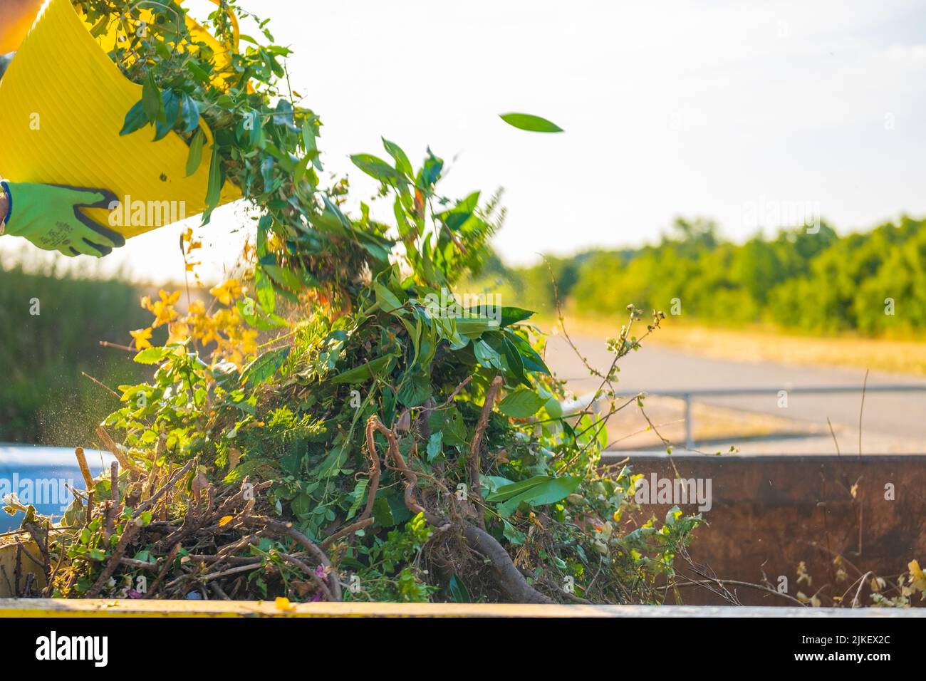 Grüner Kompost gießt im Kompost von sun.green mit vielen verschiedenen Pflanzen in einen Metalltank. Gemüsekompost in Silikonkorb in den Händen eines Mannes Stockfoto