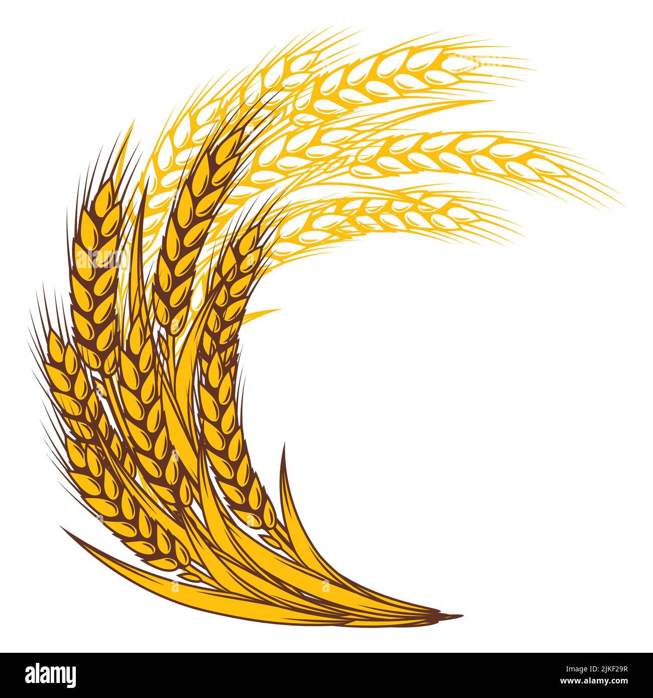 Weizenbündel. Landwirtschaftliches Bild mit natürlichen goldenen Ohren von Gerste oder Roggen. Stock Vektor