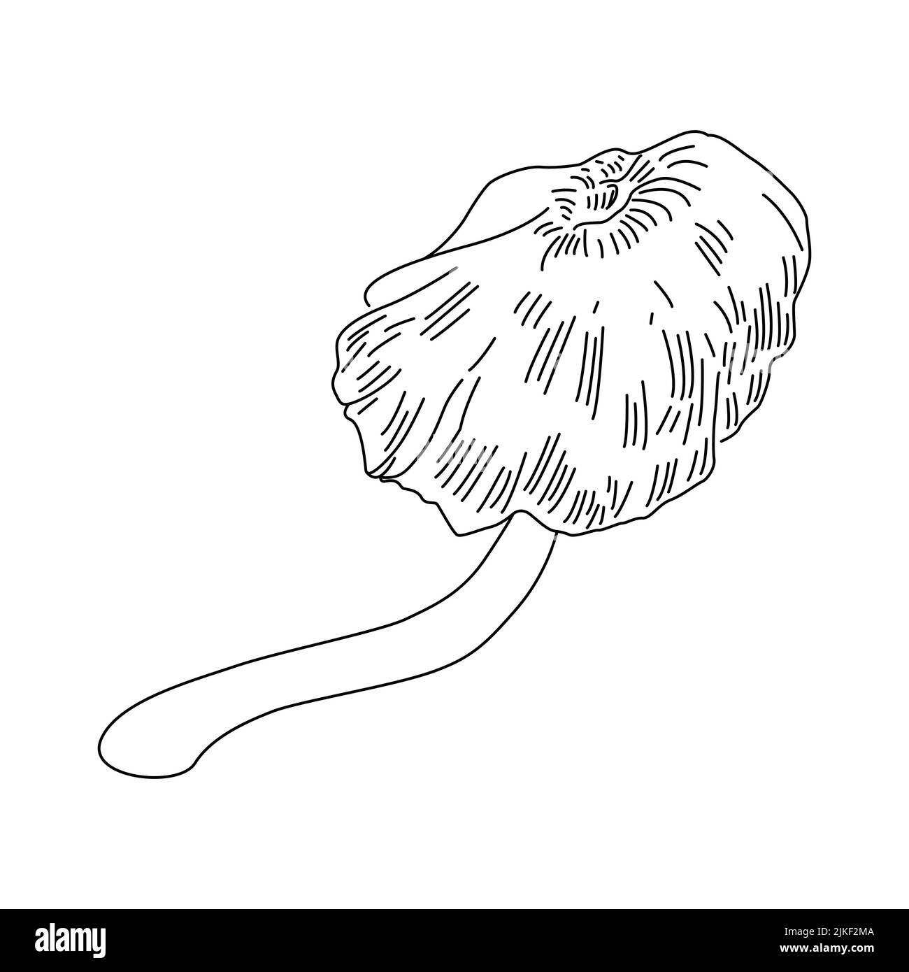 Pilzline Art Logo Illustrationen. Handgezeichnete Pilze. vektor. Stock Vektor