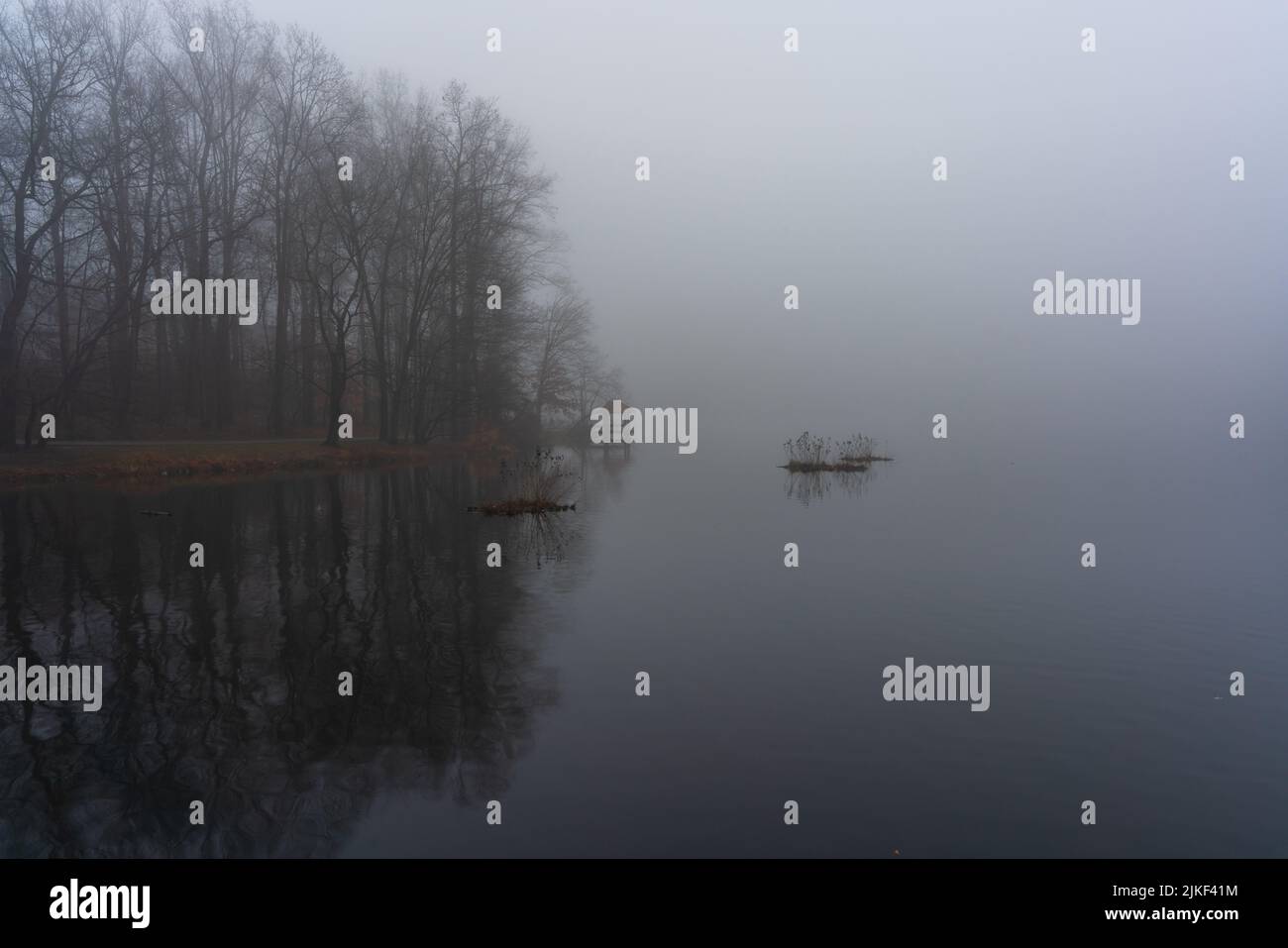 Ein schwerer Nebel über dem Wasser mit dem Spiegelbild von Bäumen Stockfoto