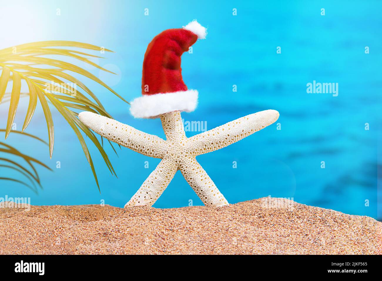 Weißer Seestern mit Weihnachtsmann-Hut und Strand mit Meer und Palmen. Konzept von Weihnachten, Neujahr in heißen Ländern. Speicherplatz kopieren Stockfoto