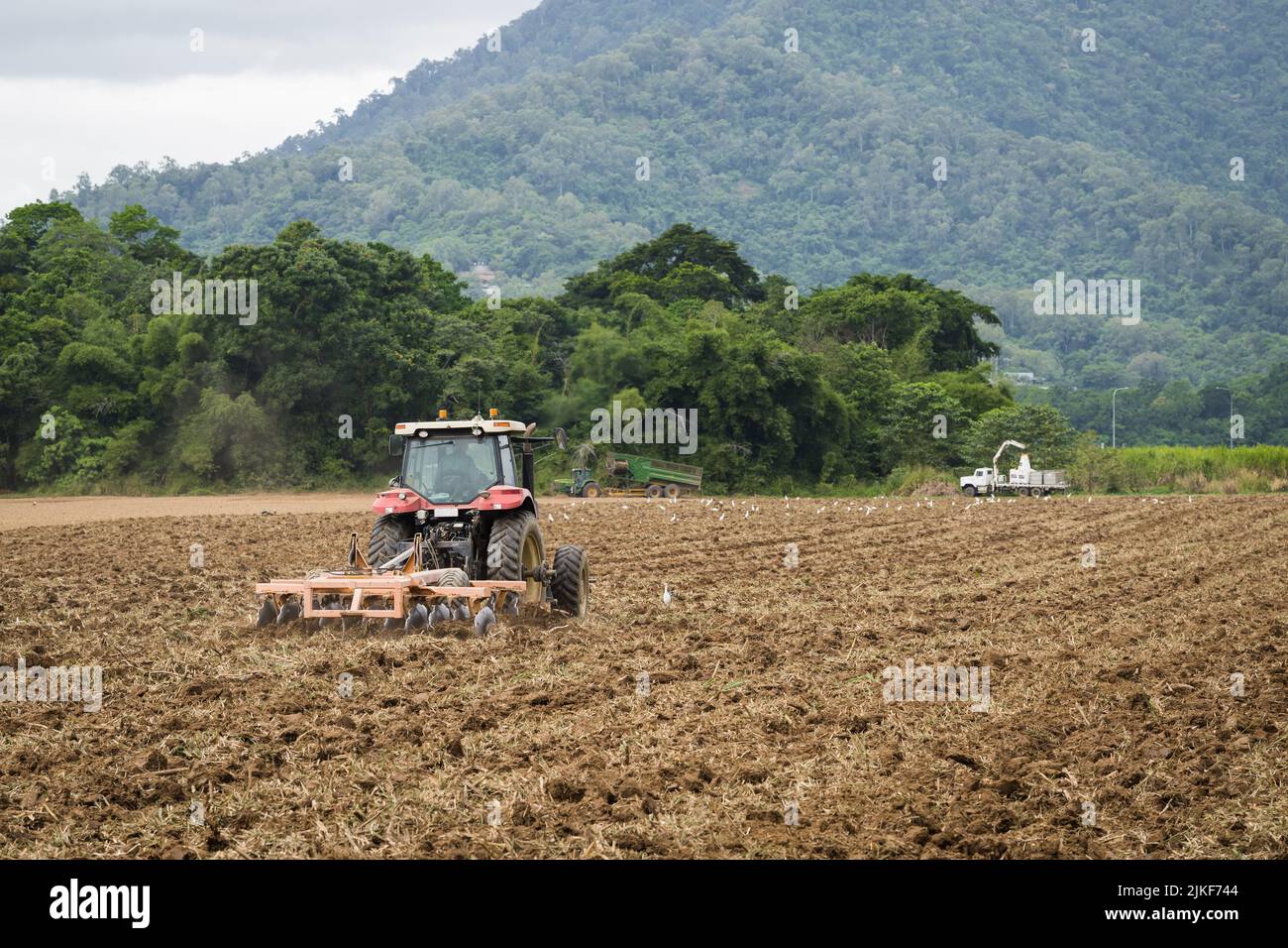 Zuckerrohrarbeiter auf einem Traktor, der einen Scheibenpflug schleppt und den Boden auf einem kürzlich geernteten Fahrerlager in Redlynch Valley, Cairns, QLD, Australien, bearbeitet. Stockfoto