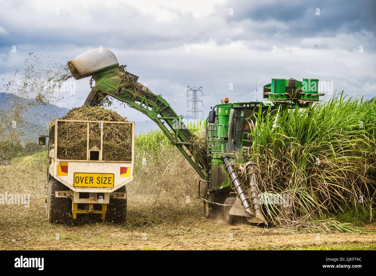 Zuckerrohrarbeiter in einem Rohrerntemaschinen und einem folgenden Rohrbehälter, während sie das Feld auf und ab bewegen und in Cairns, Qld, Australien, reifes Rohr ernten. Stockfoto