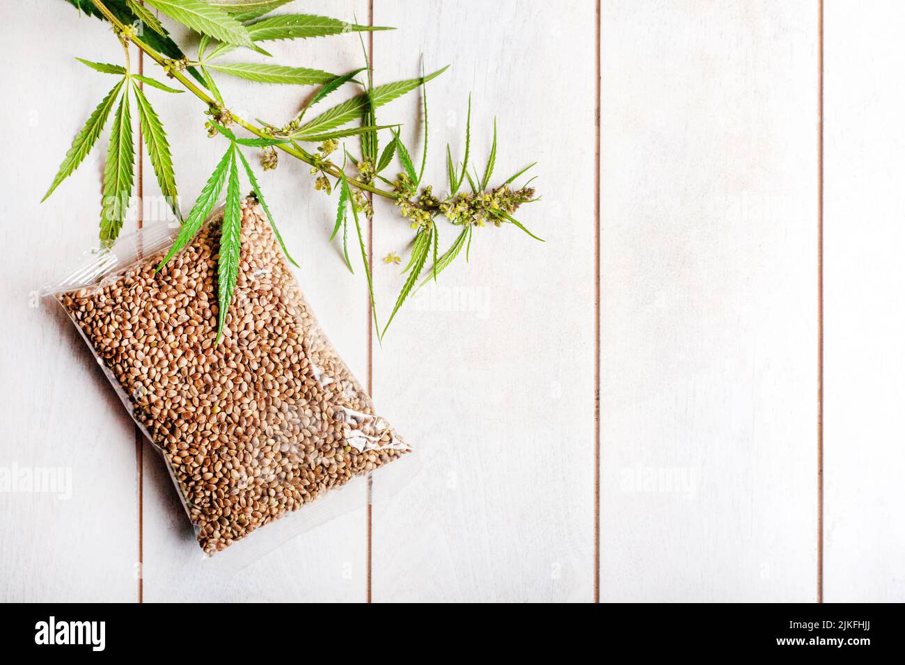 Transparente Tasche mit Cannabissamen und einem Zweig frischen Cannabis auf einem hellen Holzhintergrund, Mockup Stockfoto