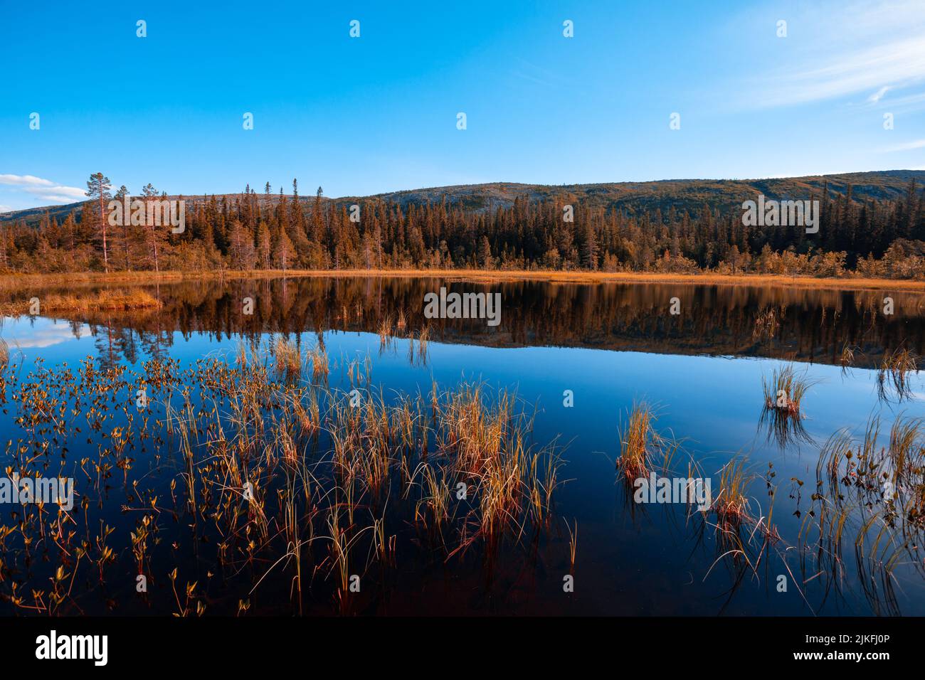 See im Fulufjället-Nationalpark, Schweden. Stockfoto