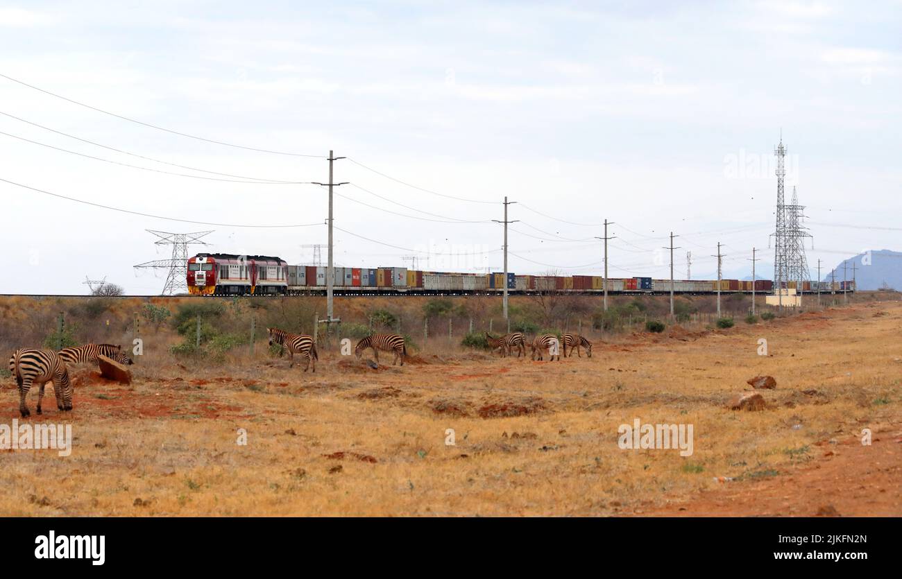 (220802) -- NAIROBI, 2. August 2022 (Xinhua) -- Zebras werden am 28. Juli 2022 neben einem Zaun gesehen, als ein Güterzug auf der Strecke Mombasa-Nairobi Railway in Kenia fährt. Die in China gebaute Mombasa-Nairobi Standard Gauge Railway (SGR) hat gerade ihr fünftes Jubiläum des sicheren Betriebs gefeiert. Die Mombasa-Nairobi Railway führt durch Naturschutzgebiete wie den Nairobi National Park und den Tsavo National Park. Um die Auswirkungen auf die Umwelt zu reduzieren, wurden während der Planung und des Baus der Eisenbahn eine Reihe von Maßnahmen ergriffen, wie die Umgehung der Mangroven, die dazu beitragen, die m zu halten Stockfoto