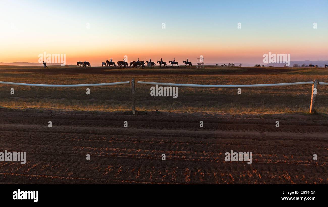 Rennpferde dämmern silhoutted Tiere Reiter wärmen Trainingspfad mit blauen Himmel Horizont Farben eine malerische Landschaft. Stockfoto