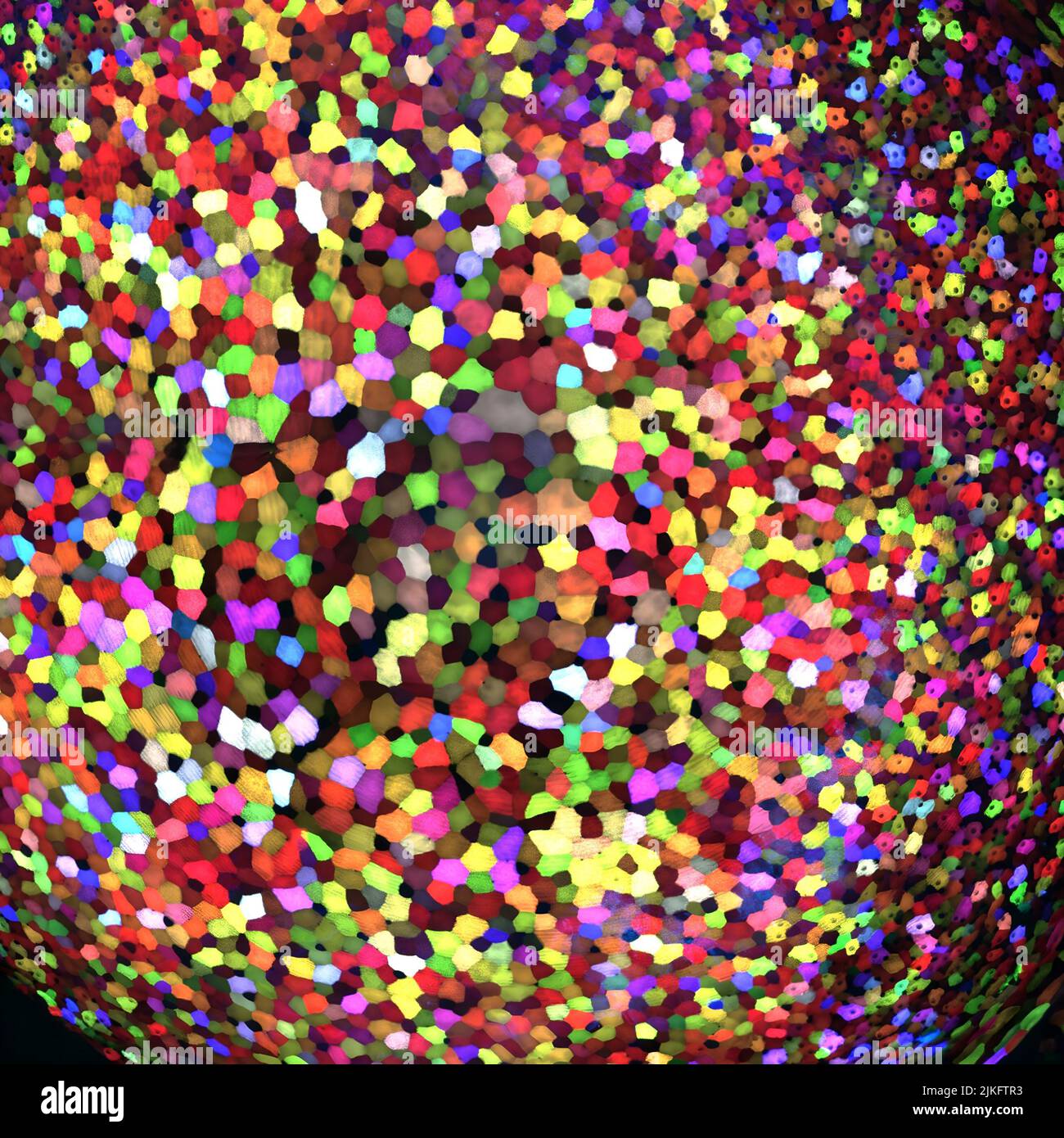 Dieses Bild zeigt Hunderte von lebenden Zellen aus einem winzigen Stück (0,0003348 Quadratzoll) Haut auf der Schwanzflosse eines genetisch veränderten Zebrafischs. Zebrafische werden normalerweise in tropischen Süßgewässern gefunden und sind ein bevorzugtes Forschungsmodell zur Untersuchung der Entwicklung von Nachkommen und der Geweberegeneration. Die Zellen wurden mit einem fluoreszierenden Bildgebungswerkzeug namens Skinbow hervorgehoben. Es kodiert Zellen auf einzigartige Weise, indem es sie dazu bringt, Gene zu exprimieren, die für rote, grüne und blaue fluoreszierende Proteine kodieren. Stockfoto