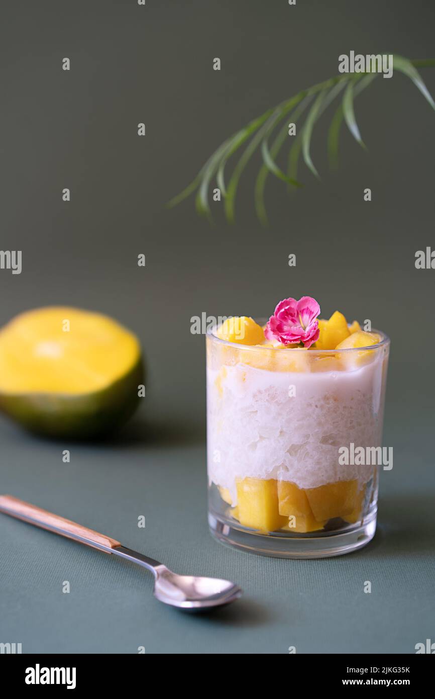 Thailändisches Mango-Dessert mit klebrigem Reis und Kokosmilch, verziert mit Nelke, Palmzweig und frischer Mango-Rückseite Stockfoto