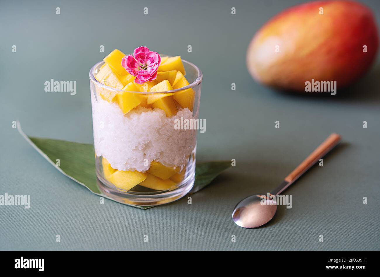 Thailändisches Dessert mit Mango und klebrigem Reis und Kokosmilch, verziert mit Nelke, Zuckerrohrblatt, roher Mango-Rückseite Stockfoto