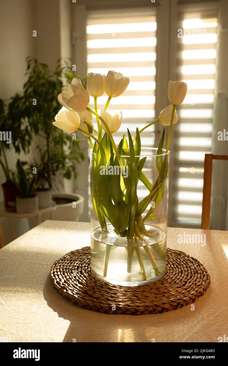 Frühlingsblumen - weiße Tulpen in Glasvase auf Holztisch Stockfoto