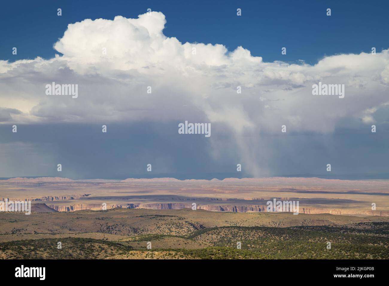 Sturm über dem Kaibab Plateau, Coconino County, Arizona, USA. Stockfoto