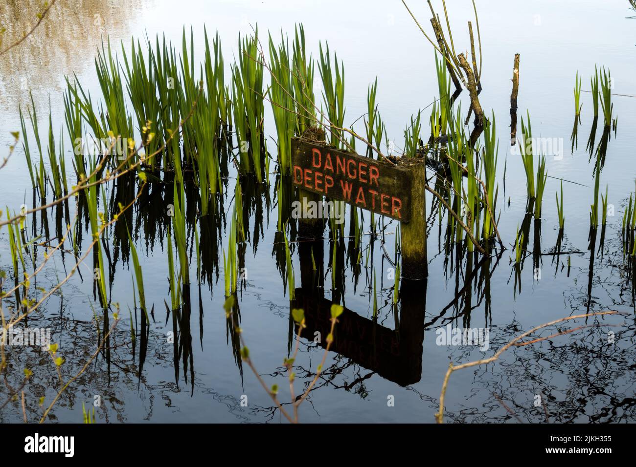 Nahaufnahme eines gefährlichen Tiefwasserschildes in einem Sumpf mit Schilf Stockfoto