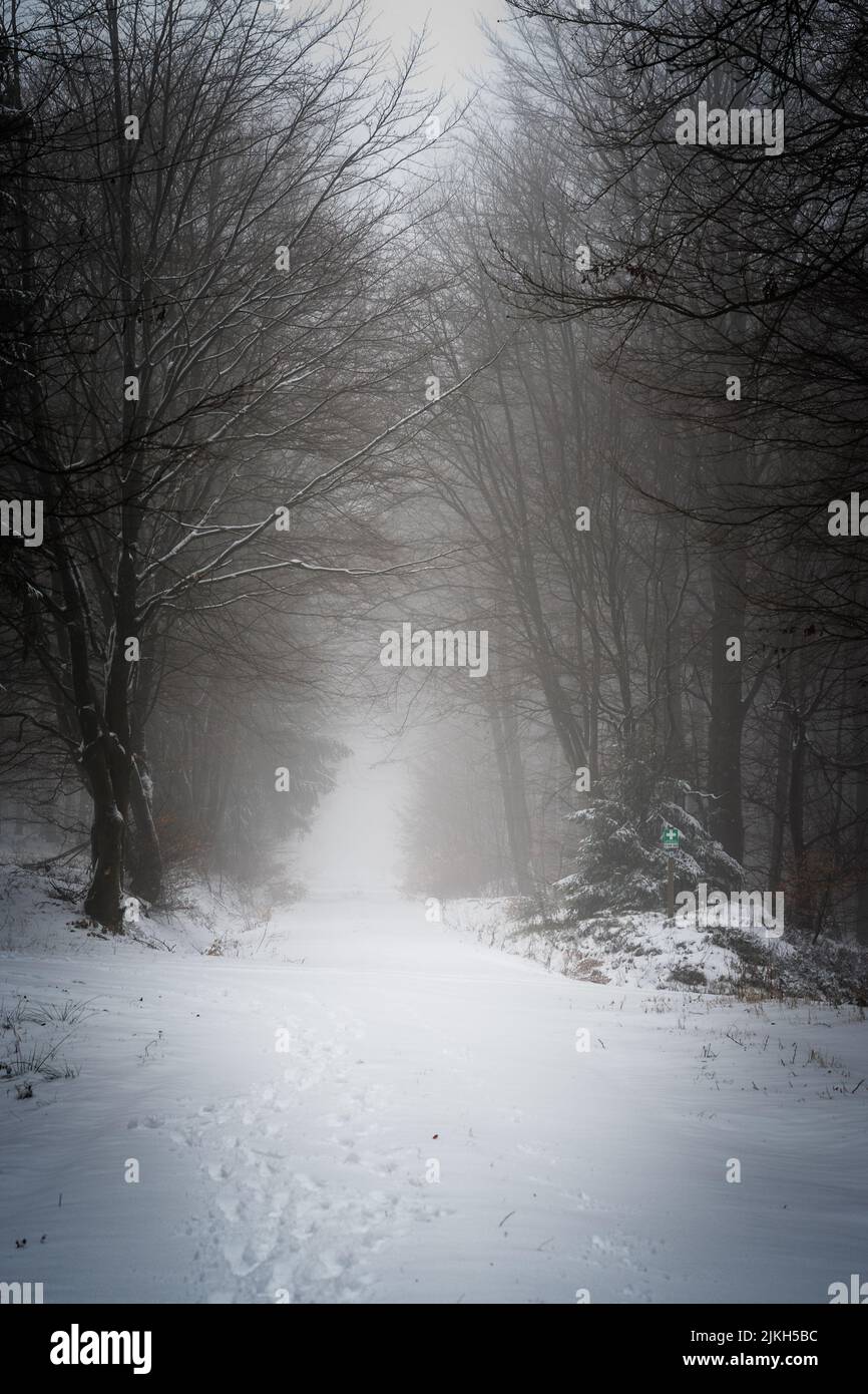 Eine vertikale Aufnahme einer nebligen schneebedeckten Straße im Wald - dunkle Winterszene Stockfoto