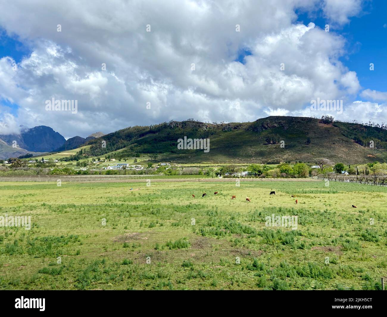 Ein grünes Grasfeld mit einem Hügel im Hintergrund unter einem bewölkten Himmel Stockfoto