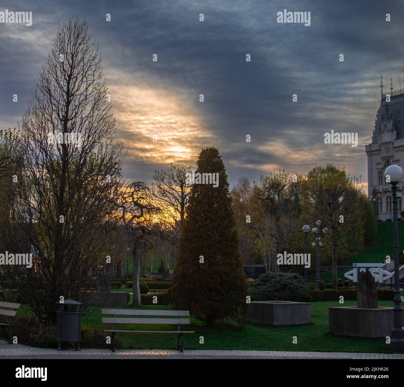 Die Bäume in der Nähe des Kulturpalastes in Iasi, Rumänien gegen Sonnenuntergang Stockfoto