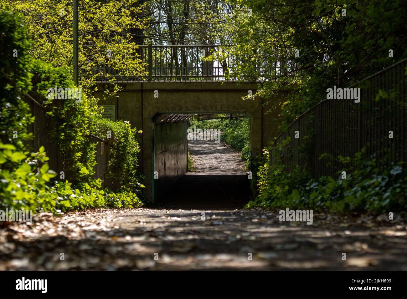 Ein Fernblick auf eine kurze U-Bahn unter einer Straße in einem Wald Stockfoto