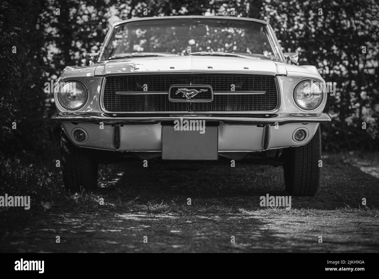 Vorderansicht eines Ford Mustang Cabriolet Oldtimer im Freien Stockfoto