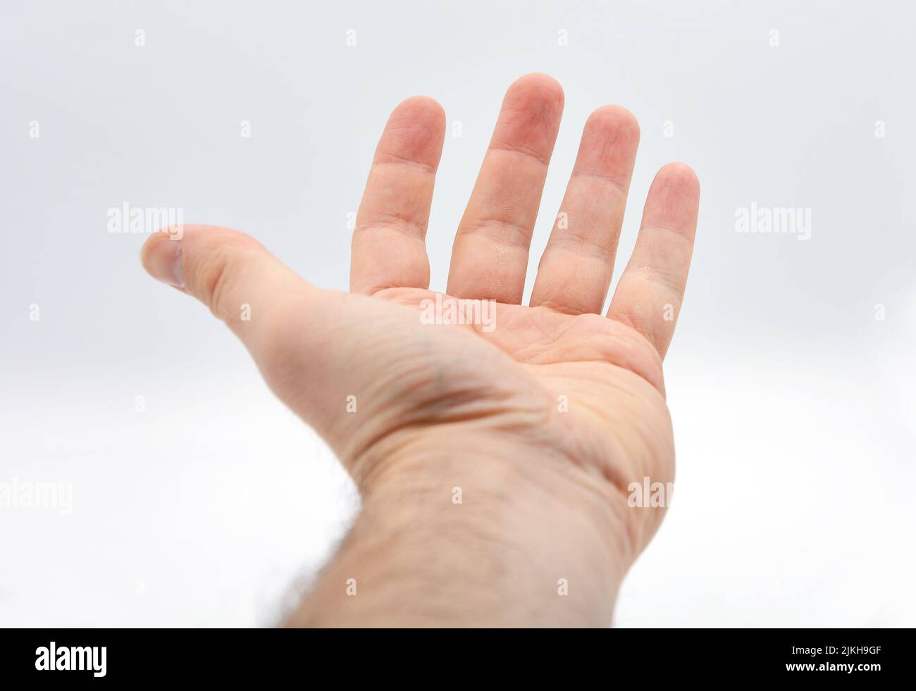 Eine Nahaufnahme der ausgestreckten Hand eines Männchens mit einer Handfläche auf weißem Hintergrund Stockfoto