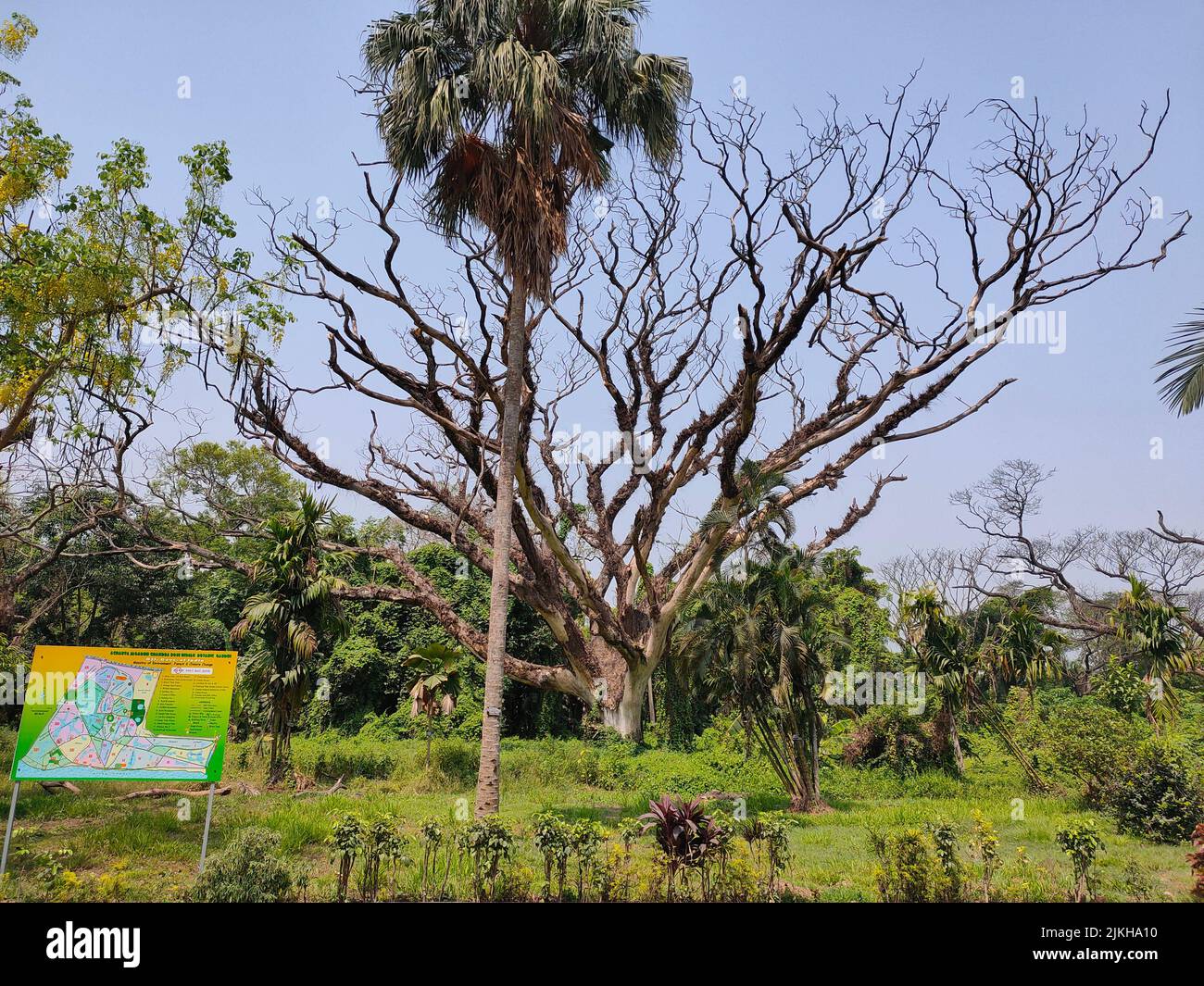 Ein Informationstafel im üppigen grünen botanischen Garten in Kalkutta, Indien Stockfoto