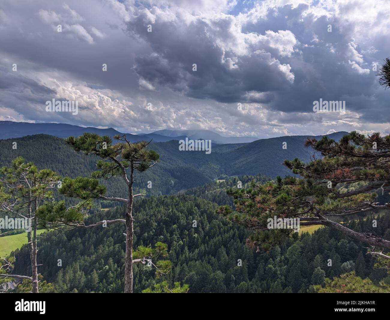 Eine schöne Aussicht vom Hügel des üppigen grünen Tales, umgeben von Bergwäldern Stockfoto