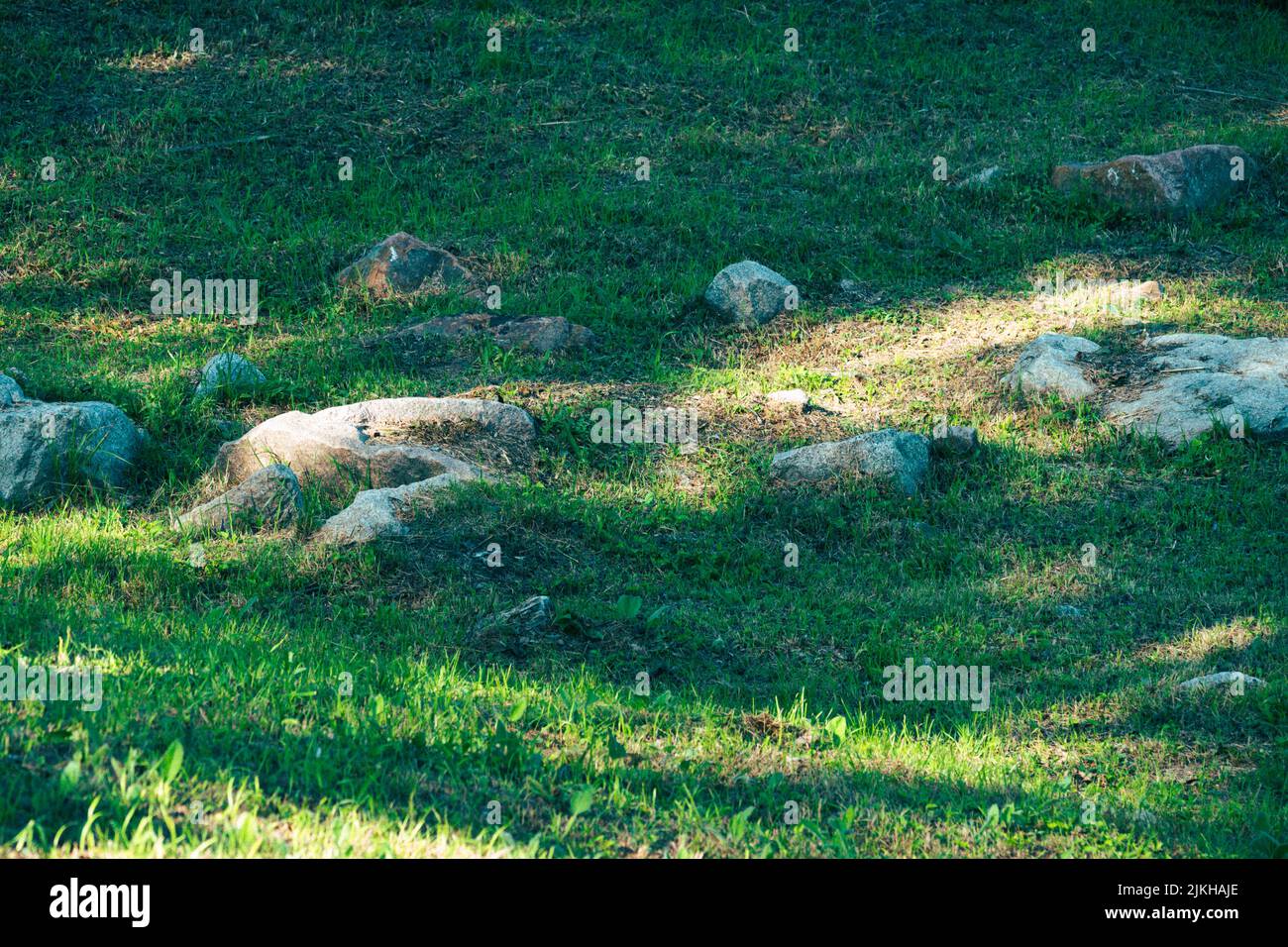 Ein schöner Blick auf Steine auf dem frischen Gras in einem Garten an einem sonnigen Tag Stockfoto