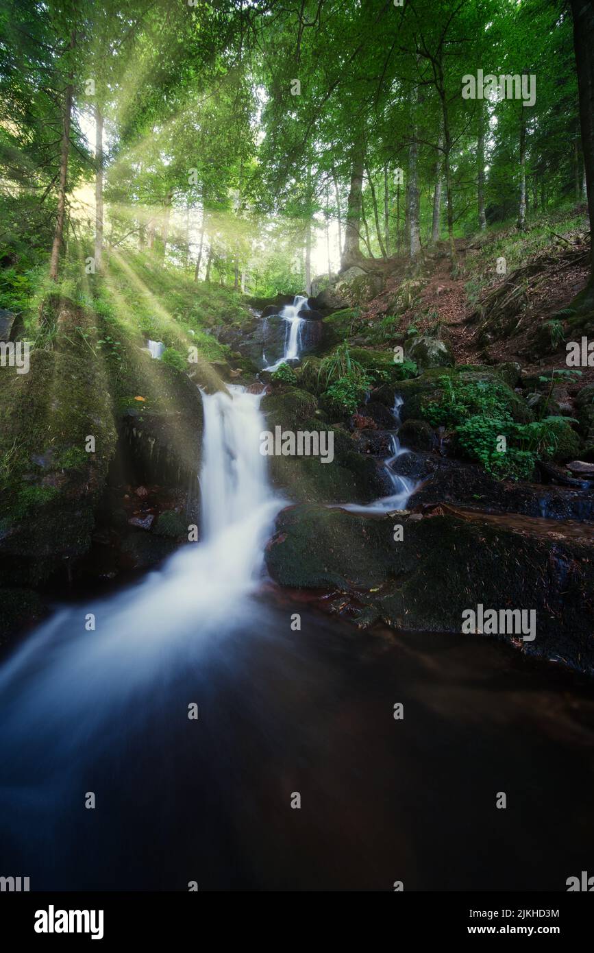 Eine vertikale Aufnahme von Wasserfällen, die die Steine hinunterstürzen, mit Sonnenlicht, das durch die Bäume im Hintergrund scheint Stockfoto