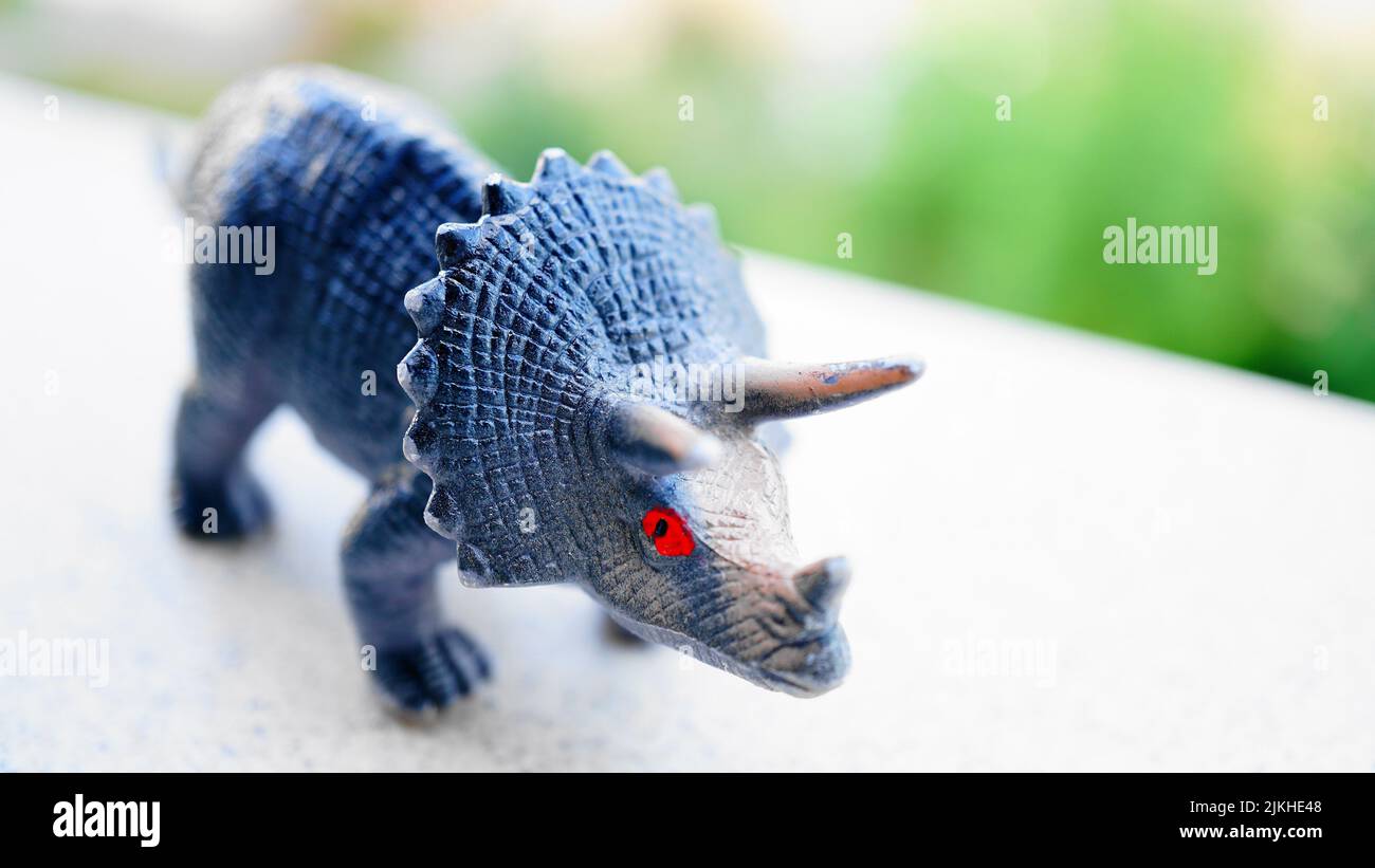 Eine Nahaufnahme eines Triceratops-Spielzeugs Stockfoto