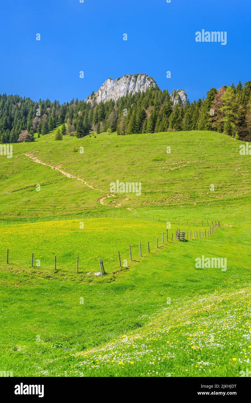 Deutschland, Bayern, Landkreis Rosenheim, Nußdorf am Inn, Daffnerwaldalm gegen Heuberg, Wasserwand Stockfoto