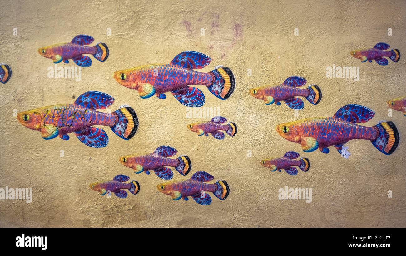 Graffiti in der Altstadt von Montpellier. Stockfoto