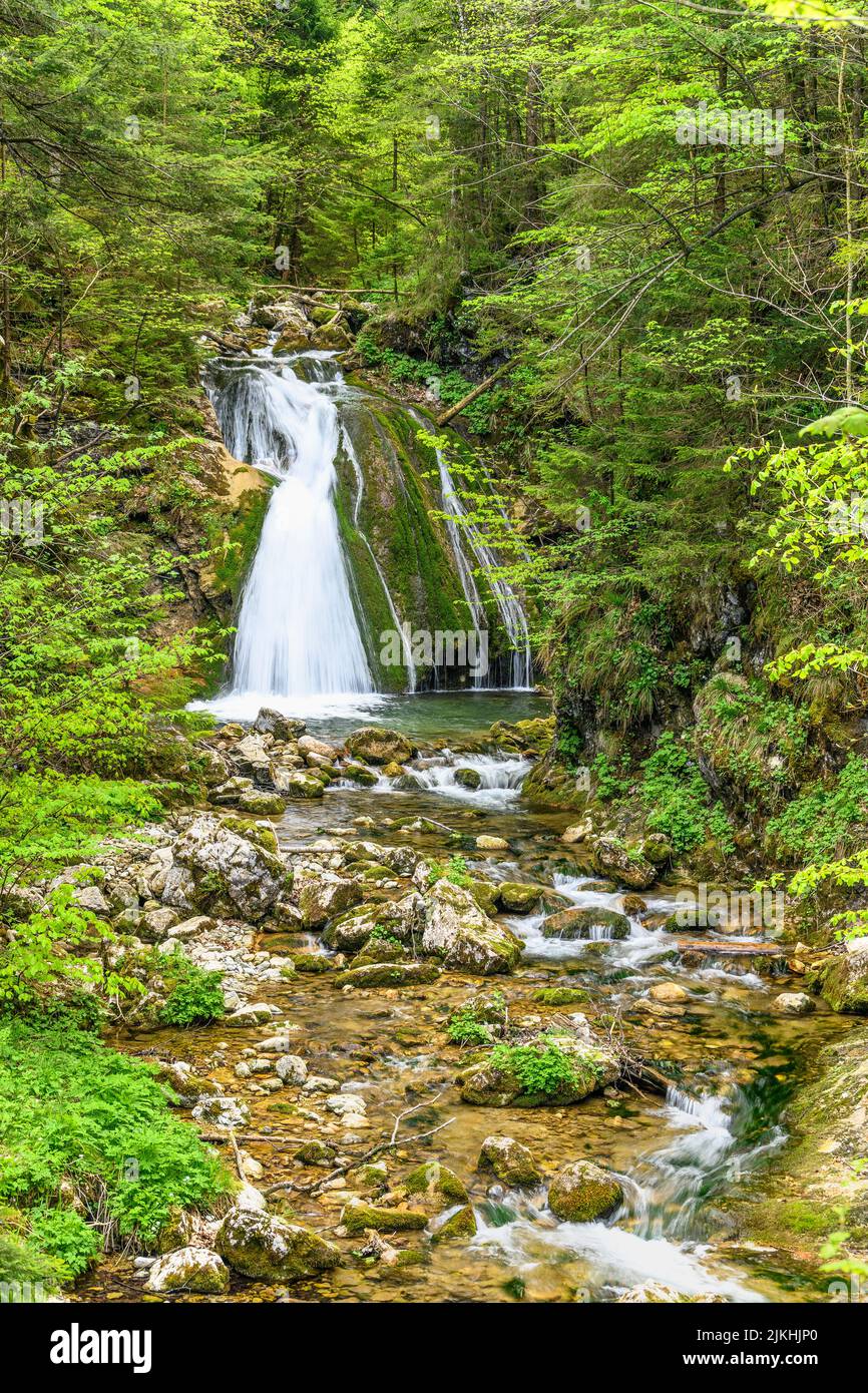 Deutschland, Bayern, Landkreis Rosenheim, Samerberg, Duft, Fluderbach, Wasserfall Stockfoto