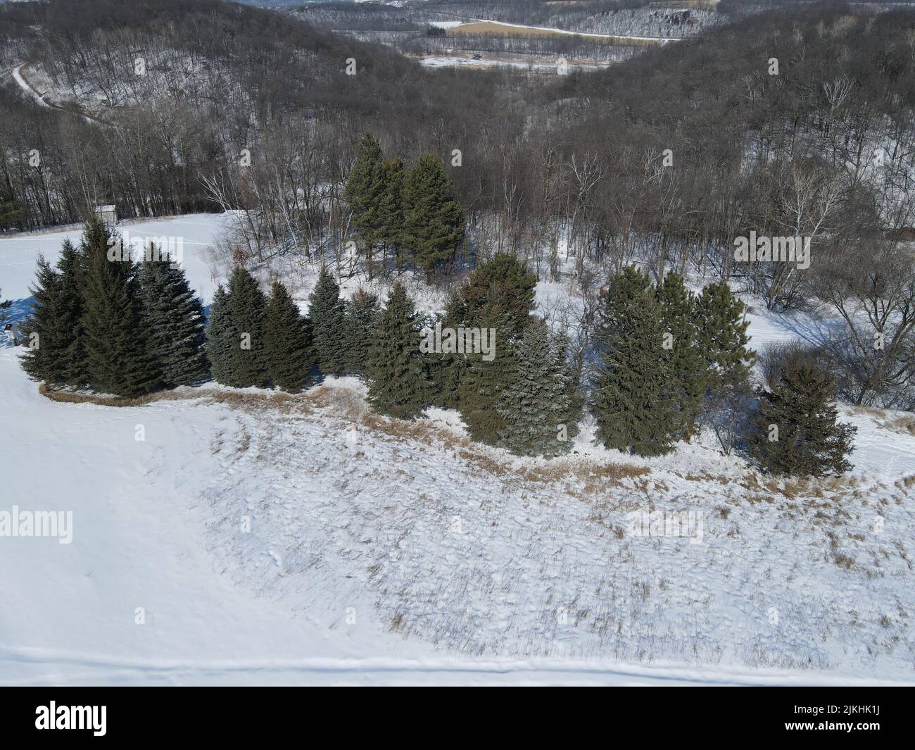Eine Luftaufnahme des -bedeckten Feldes in Minnesota, USA Stockfoto
