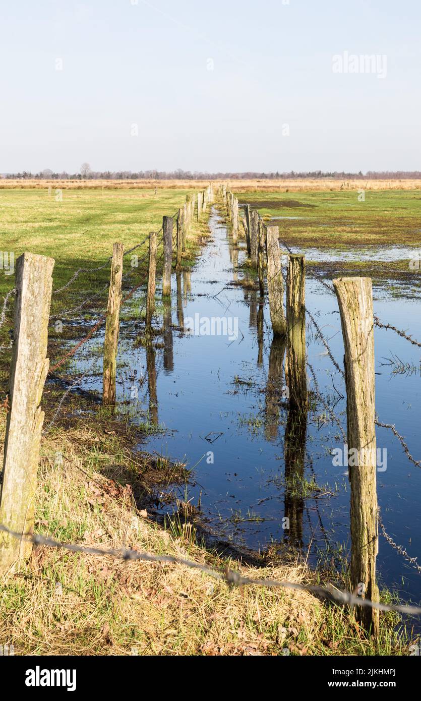 Eine vertikale Aufnahme eines alten Zauns im Recker Moor Moor in Recke, Deutschland Stockfoto