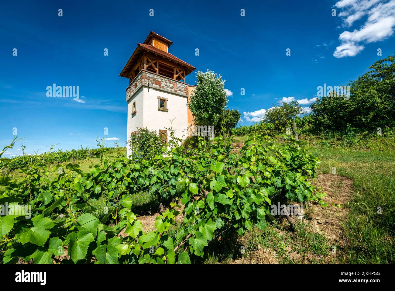 Turm im Weinberg bei Saulheim, Weingut Heinz-Willi Dechent, mehrgeschossiger Turm mit Aussichtsplattform und seitlichem Wendeltreppe, eines der schönsten Weinbaugebäude in Rheinhessen, Stockfoto