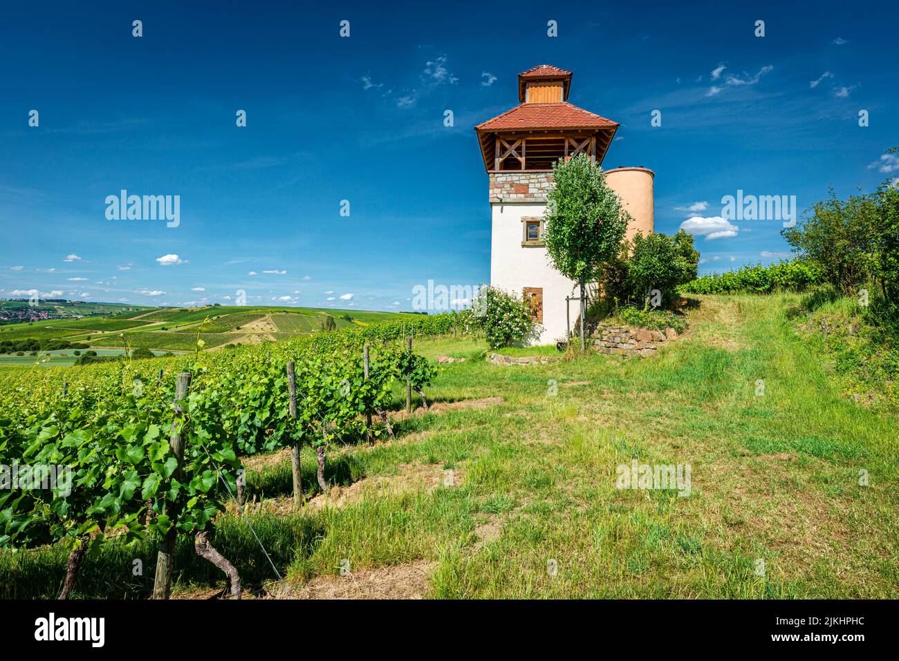 Turm im Weinberg bei Saulheim, Weingut Heinz-Willi Dechent, mehrgeschossiger Turm mit Aussichtsplattform und seitlichem Wendeltreppe, eines der schönsten Weinbaugebäude in Rheinhessen, Stockfoto