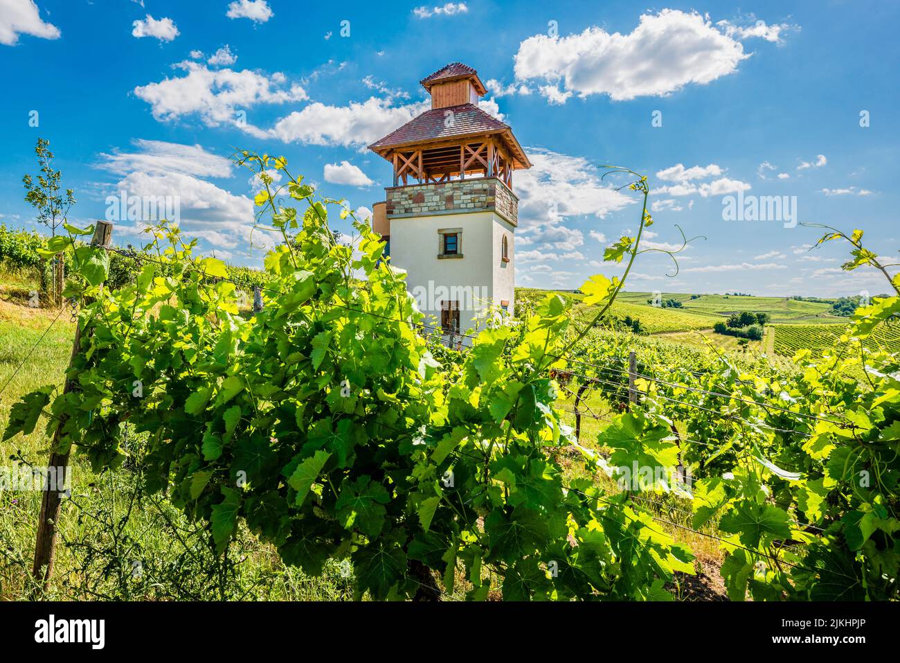 Turm im Weinberg bei Saulheim, Weingut Heinz-Willi Dechent, mehrgeschossiger Turm mit Aussichtsplattform und seitlichem Wendeltreppe, eines der schönsten Weinbaugebäude in Rheinhessen, Stockfoto