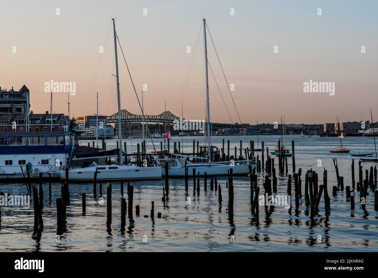 Viele Holzstöcke stecken im Meer im Hintergrund von Schiffen in Boston. Stockfoto