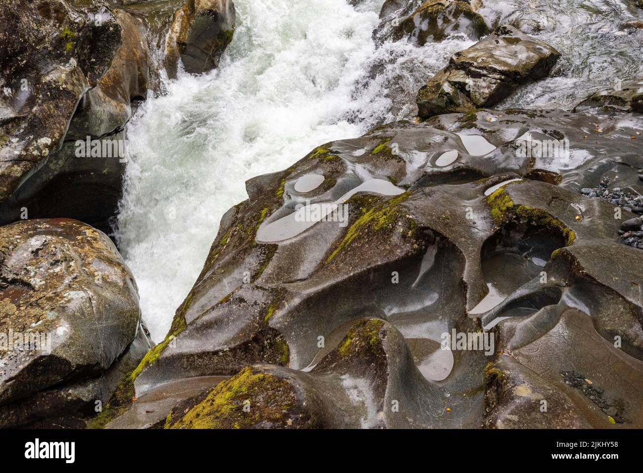 Berühmte Chasm-Schlucht mit wunderschön nach außen geratenen Felsen, Milford Sound, Südinsel von Neuseeland Stockfoto