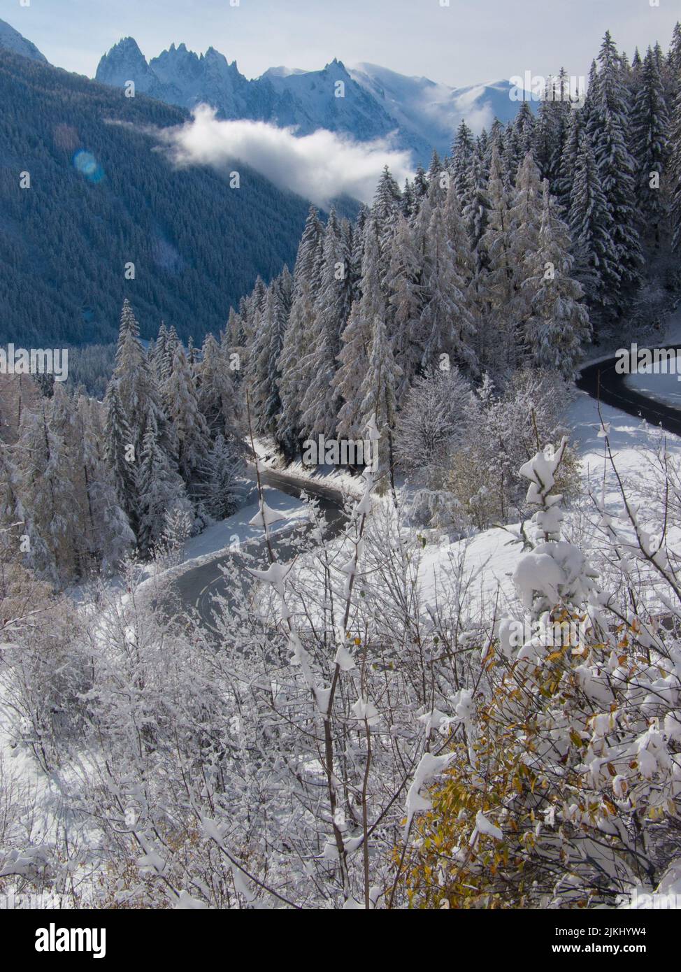 Ein schöner Blick auf eine verschneite Landschaft mit großen Bäumen und Straßen Stockfoto