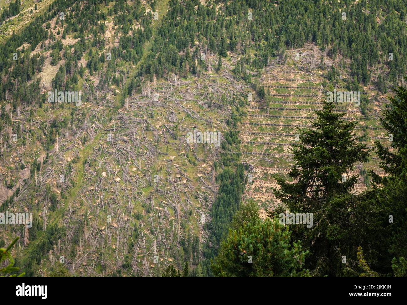 Schneezäune und Lawinenschutz. Lawinenschutzsystem Pampeago in der Provinz Italien-Bozen Skigebiet im Trentino-Südtirol - Norditalien Stockfoto