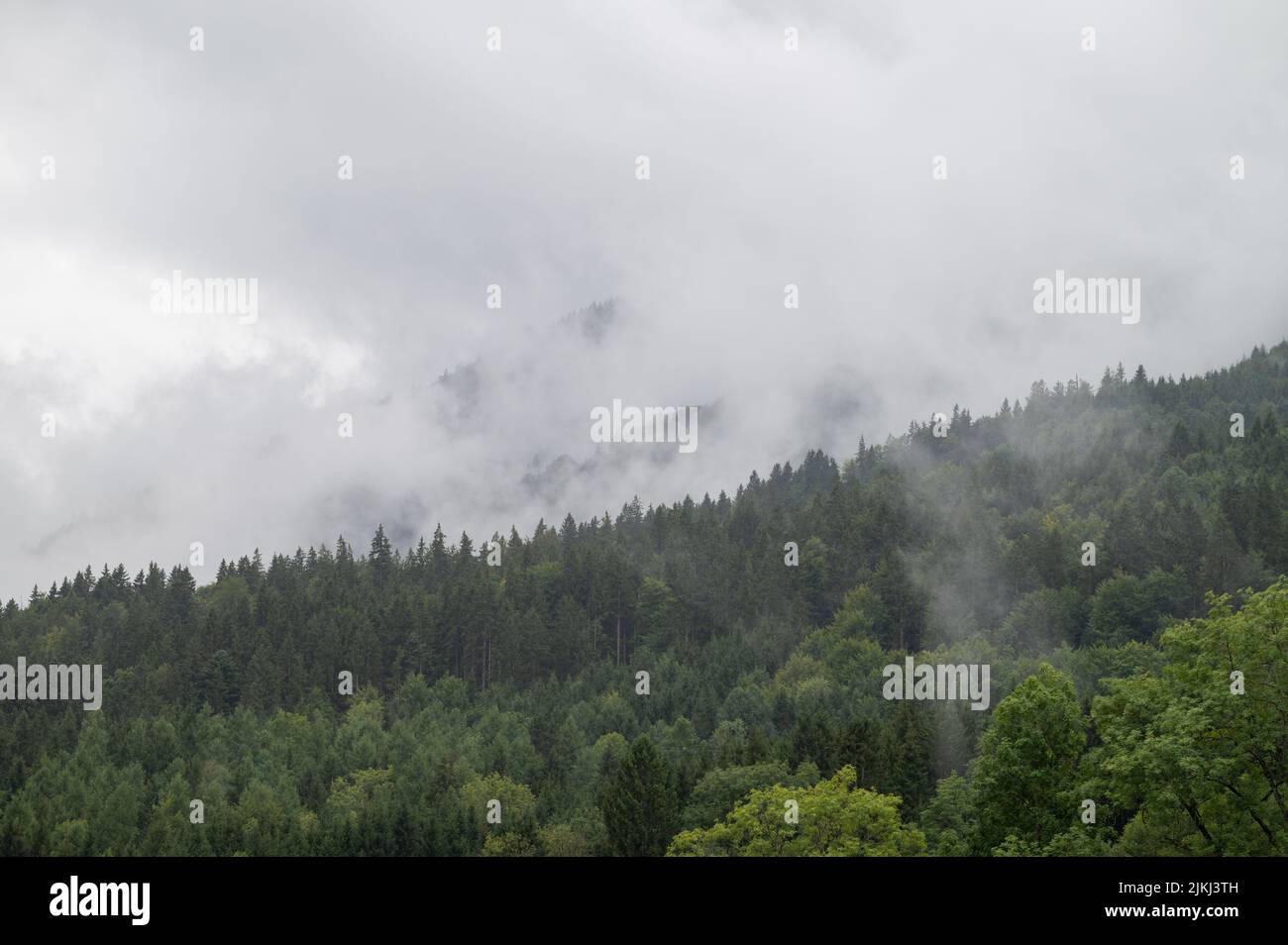 Eine schöne Aussicht auf einen nebligen Wald in den bayerischen Alpen in Süddeutschland Stockfoto