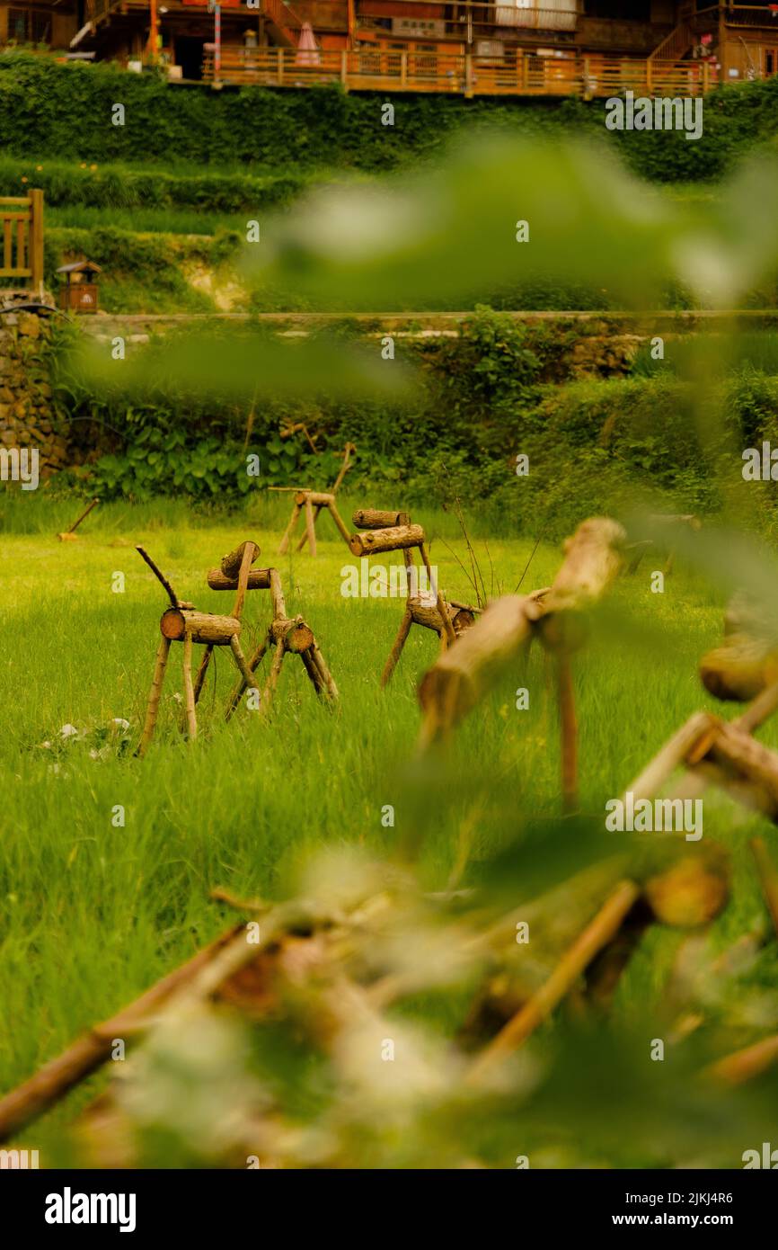 Eine schöne Aufnahme der Holztiere, die als Vogelscheuchen im Dorf der ethnischen Minderheit Langde Miao in der Provinz Guizhou in China verwendet wurden Stockfoto