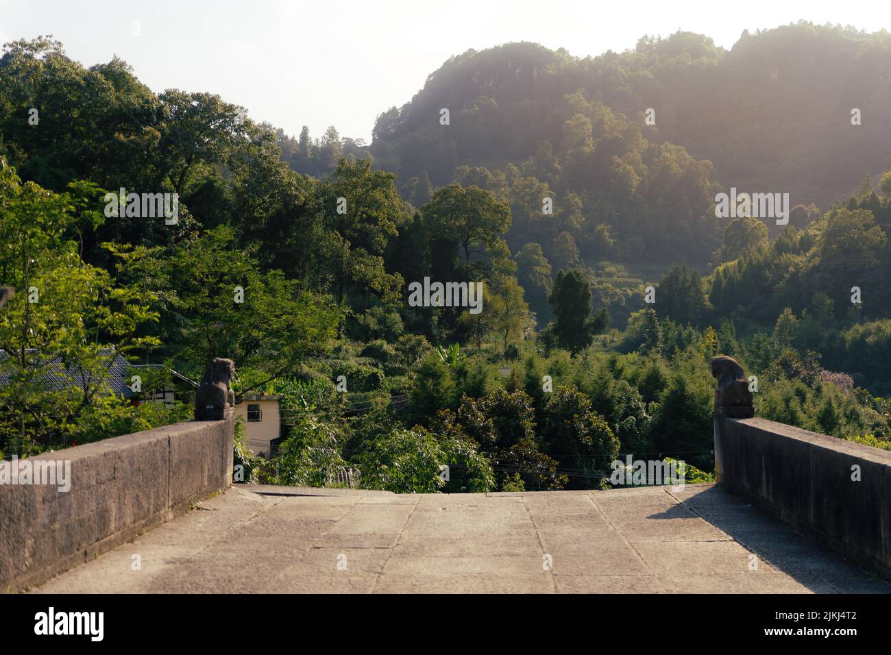 Eine schöne Landschaft Blick auf den Berg dichten Wald in hellem Sonnenlicht von der alten Brücke in Langde Miao ethnischen Minderheit Dorf, Guizhou, China Stockfoto