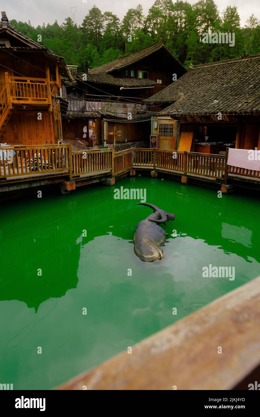 Eine schöne Aufnahme eines Blobs mit Bäumen im Wasser in den Shuanghe Höhlen, Guizhou, China Stockfoto