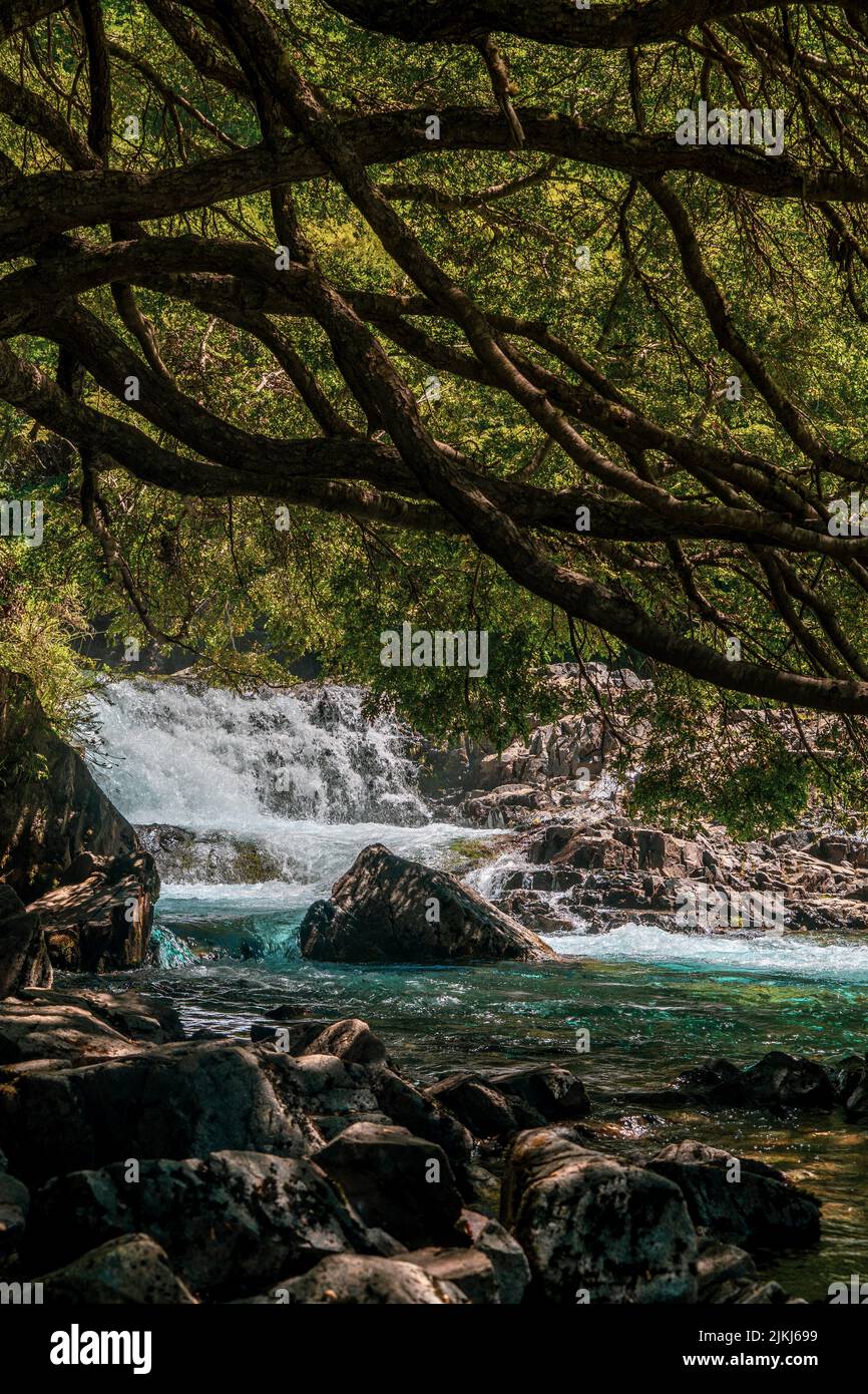 Eine vertikale malerische Aussicht auf einen kleinen Wasserfall hinter Baumzweigen Stockfoto