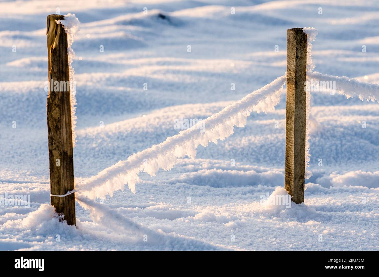 Torzo oplocení V mrazu a sněhu Stockfoto